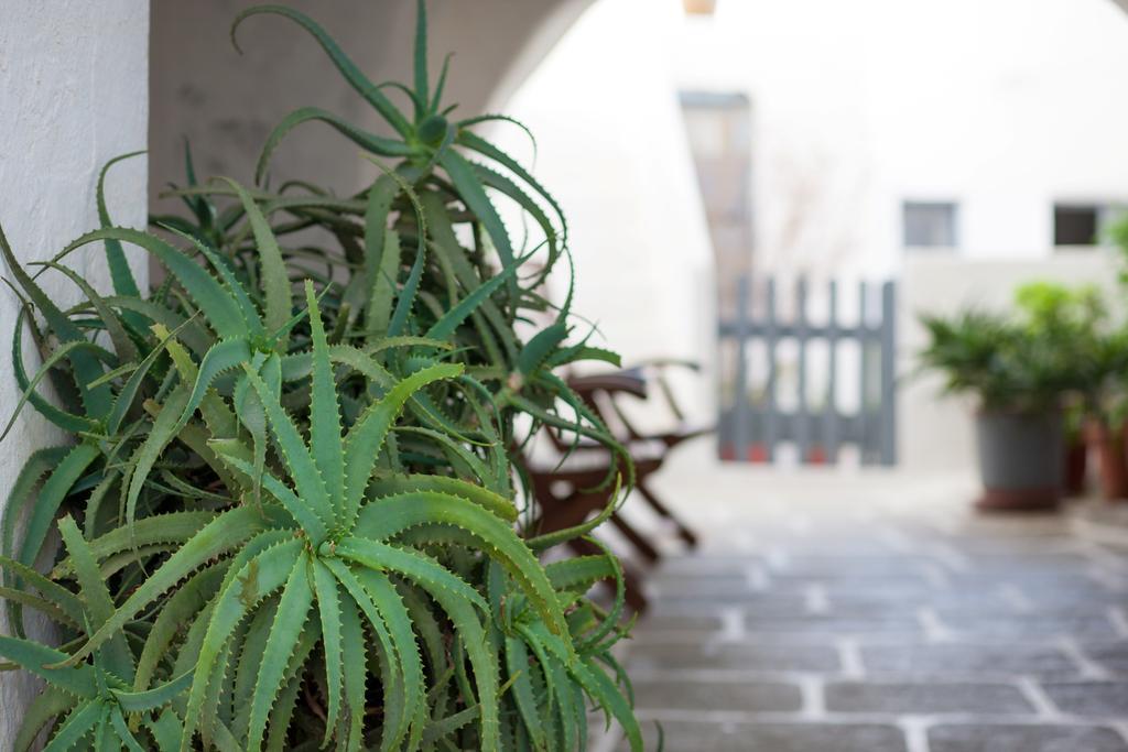 Castro Hotel Folegandros Island Ngoại thất bức ảnh